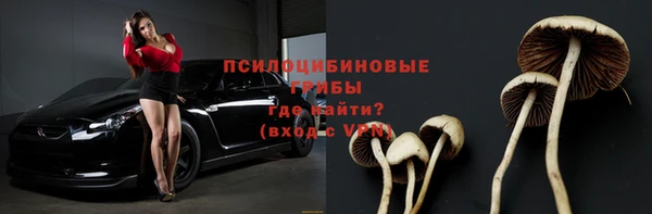 прущие крисы Вязьма