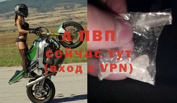 прущие крисы Вязьма