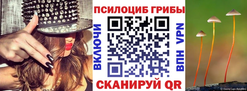 Купить закладки  Карпинск  Псилоцибиновые грибы Cubensis 